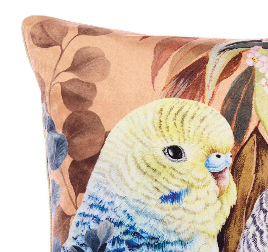 Budgie 48x48cm Filled Cushion Caramel Manchester Warehouse